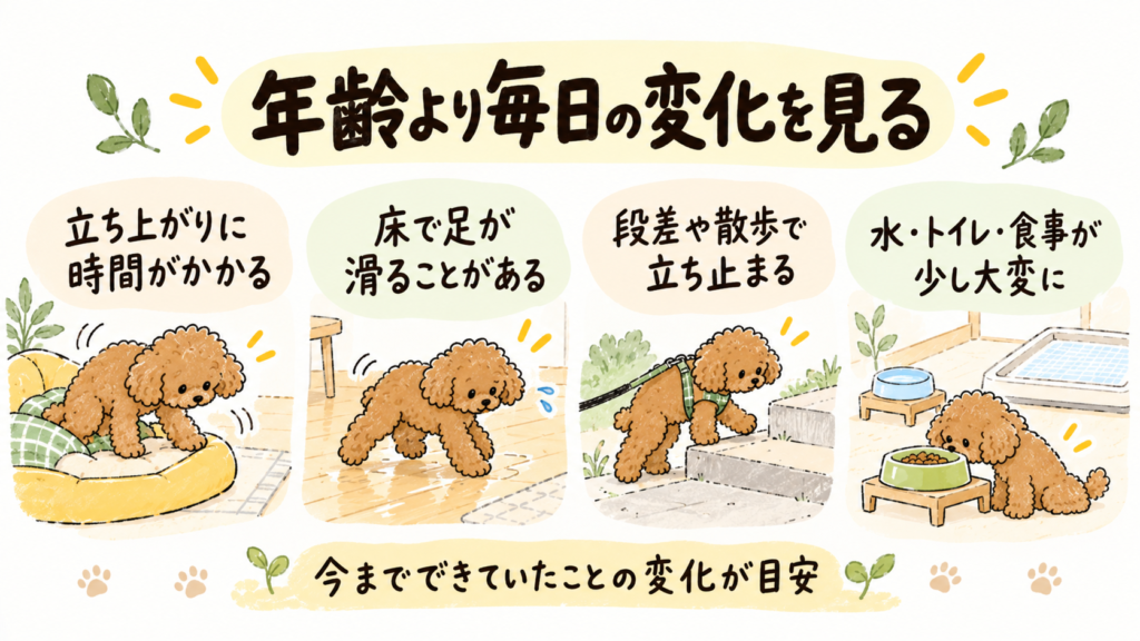 立ち上がりや床での滑り、段差、食事や排泄などシニア犬の日常に見られる変化をまとめたイラスト