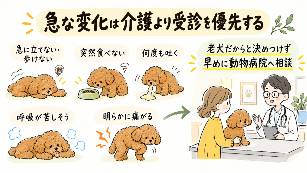 急に立てない、食べない、何度も吐く、呼吸が苦しいなど老犬で動物病院への相談を優先したい変化を示すイラスト