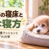 介護ベッドで横向きに休むシニア犬と老犬の寝床・介護クッション