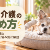 歩行・排泄・食事・睡眠の4つの場面で見る老犬介護の始め方