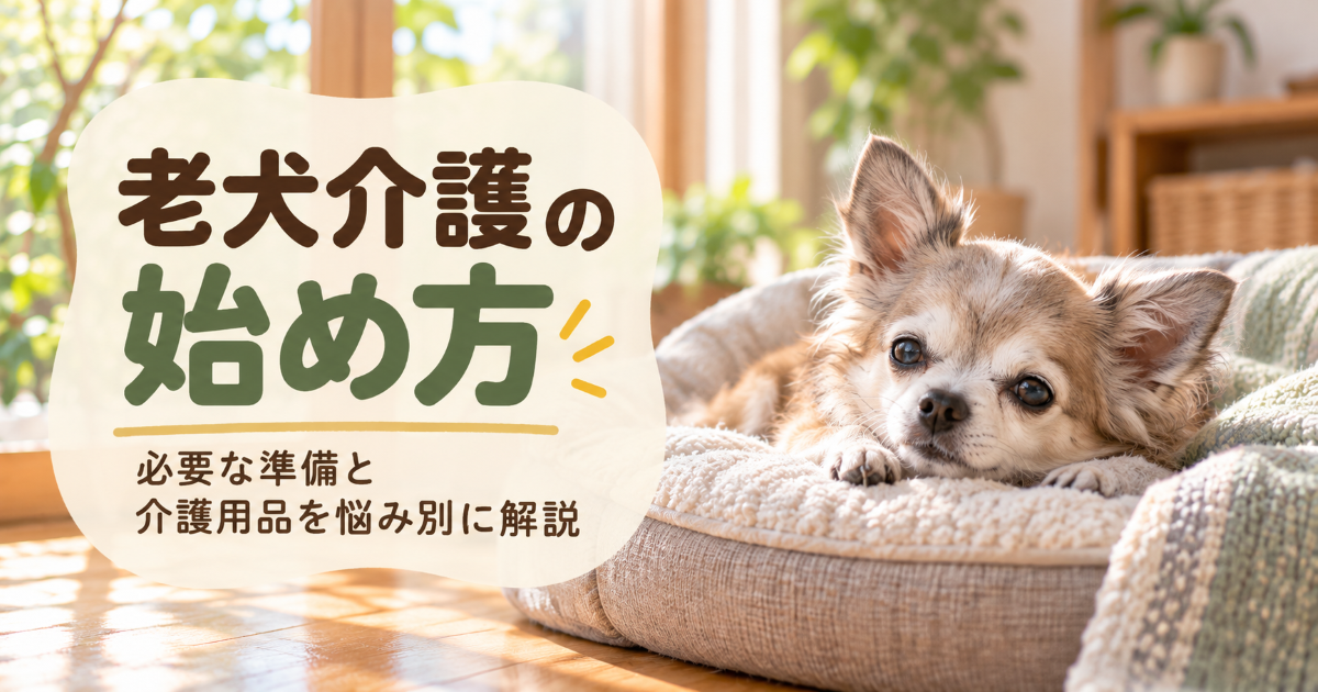 歩行・排泄・食事・睡眠の4つの場面で見る老犬介護の始め方
