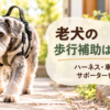 歩行補助ハーネス・犬用車椅子・サポーターと歩くシニア犬